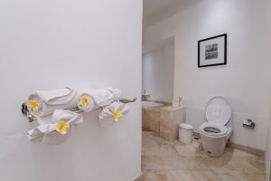 alam bidadari seminyak room