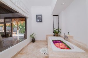 alam bidadari seminyak room